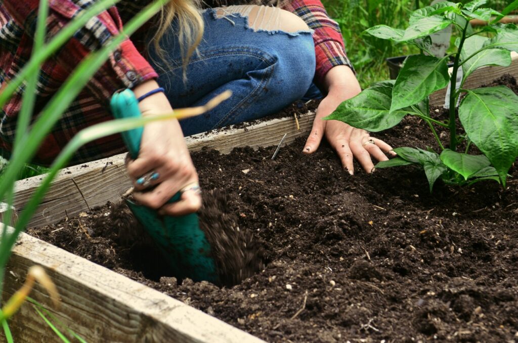 Hochbeet befüllen: Person verteilt mit der Hand frische Erde in einem Hochbeet aus Holz