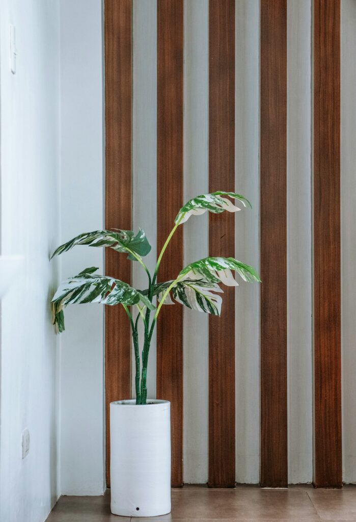 Japandi Wohnzimmer: Pflanze in weißer Vase auf hellem Holzboden als schlichte Deko