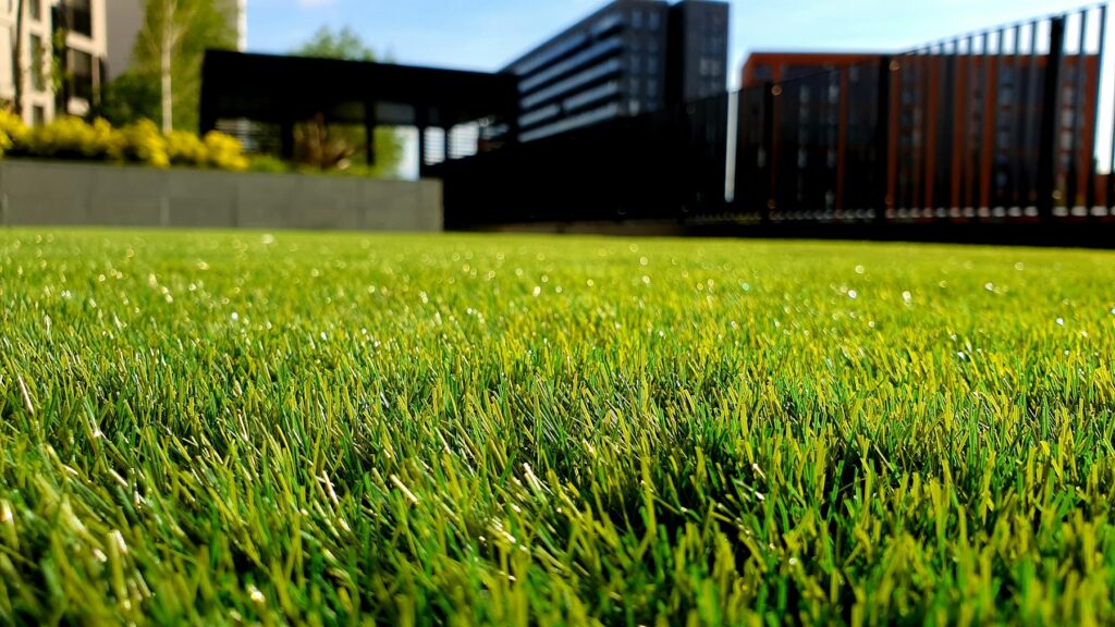 Rasen vertikutieren: dichte, gleichmäßig grüne Rasenfläche im Garten